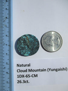 26.3 ct. (25x24x5 mm) 100% Natural  Web Cloud Mountain (Yungaishi) Turquoise  Cabochon, Gemstone, # 1DX 65