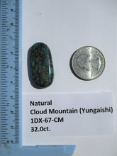 Load image into Gallery viewer, 32.0 ct. (32x15.5x7 mm) 100% Natural  Web Cloud Mountain (Yungaishi) Turquoise  Cabochon, Gemstone, # 1DX 67