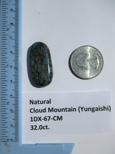 32.0 ct. (32x15.5x7 mm) 100% Natural  Web Cloud Mountain (Yungaishi) Turquoise  Cabochon, Gemstone, # 1DX 67
