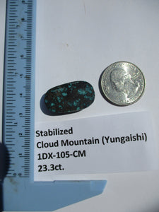 23.3 ct. (26x15x6mm) Stabilized Cloud Mountain (Yungaishi) Turquoise  Cabochon, Gemstone, # 1DX 105