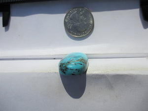 41.3 ct. (31x18.5x8 mm) Stabilized Kingman Turquoise Cabochon Gemstone, # 1DZ 65