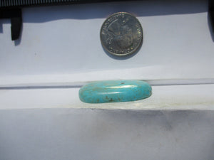 38.7 ct. (38x21x6.5 mm) Stabilized Kingman Turquoise Cabochon Gemstone, # 1DZ 76