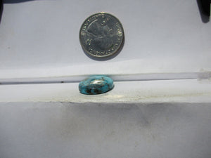 14.1 ct. (19.5x16x5 mm) 100% Natural Sierra Nevada Turquoise Cabochon Gemstone, # HW 27