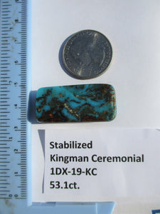 53.1 ct (35x16.5x9 mm) Stabilized Kingman Ceremonial Turquoise Cabochon Gemstone, # 1DX 19