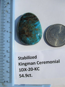 54.9 ct (35x27x8 mm) Stabilized Kingman Ceremonial Turquoise Cabochon Gemstone, # 1DX 20