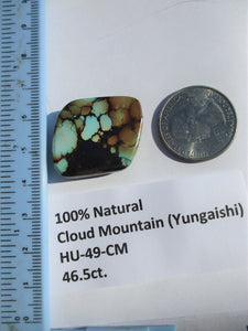 46.5 ct. (27x23x7 mm) 100% Natural Web Cloud Mountain (Hubei) Turquoise Cabochon Gemstone, # HU 49