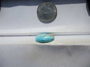 18.5 ct. (23x19.5x4.5 mm) 100% Natural Sierra Nevada Turquoise Cabochon Gemstone, # HW 10