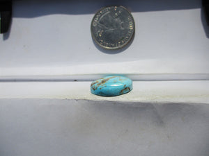18.5 ct. (23x19.5x4.5 mm) 100% Natural Sierra Nevada Turquoise Cabochon Gemstone, # HW 10