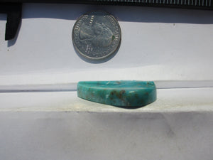 36.6 ct. (36x23x7 mm) Stabilized Kingman Turquoise Feather Cabochon Gemstone, # IZ 07