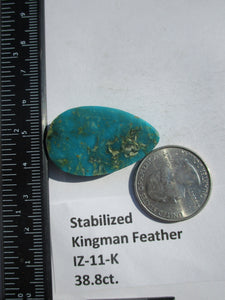 38.8 ct. (35x21x7 mm) Stabilized Kingman Turquoise Feather Cabochon Gemstone, # IZ 11