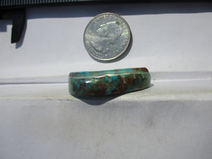 55.0 ct. (34x26x8 mm) Stabilized Kingman Turquoise Feather Cabochon Gemstone, # IZ 17