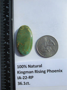 36.1 ct. (34x18.5x6 mm) 100% Natural Kingman Rising Phoenix Turquoise Cabochon Gemstone, # IA 22