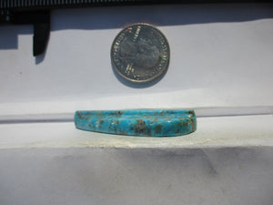 39.1 ct. (42x19x7 mm) Stabilized Kingman Turquoise Feather Cabochon Gemstone, # IZ 02