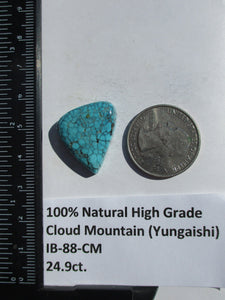 24.9 ct. (24x19x7 mm) 100% Natural High Grade Web Cloud Mountain (Hubei) Turquoise Cabochon Gemstone, # IB 88