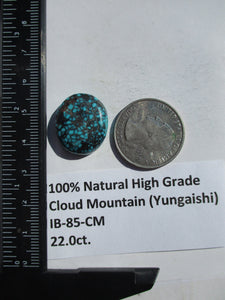 22.0 ct. (21x18x6 mm) 100% Natural High Grade Web Cloud Mountain (Hubei) Turquoise Cabochon Gemstone, # IB 85