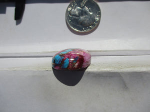 44.1 ct. (29x21x8 mm) Pressed/Dyed/Stabilized Kingman Purple Spiny Oyster Turquoise Cabochon, Gemstone, 1EF 83