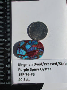 40.5 ct. (34x24x5 mm) Pressed/Dyed/Stabilized Kingman Purple Spiny Oyster Turquoise Cabochon, Gemstone, # 1EF 76