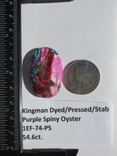 Load image into Gallery viewer, 54.6 ct. (36x24x7 mm) Pressed/Dyed/Stabilized Kingman Purple Spiny Oyster Turquoise Cabochon, Gemstone, # 1EF 74