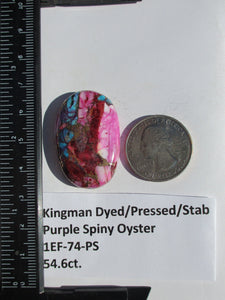 54.6 ct. (36x24x7 mm) Pressed/Dyed/Stabilized Kingman Purple Spiny Oyster Turquoise Cabochon, Gemstone, # 1EF 74