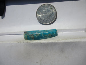 38.8 ct. (35x21x7 mm) Stabilized Kingman Turquoise Feather Cabochon Gemstone, # IZ 11