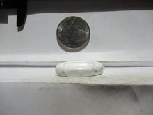 Load image into Gallery viewer, 35.3 ct (30x19x7 mm) 100% Natural White Buffalo Cabochon Gemstone, # ID 11
