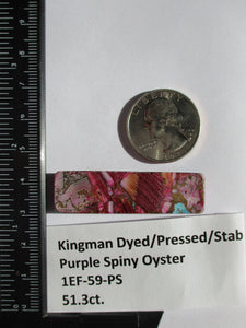 51.3 ct. (37x13x7 mm) Pressed/Dyed/Stabilized Kingman Purple Spiny Oyster Turquoise Cabochon, Gemstone, # 1EF 59