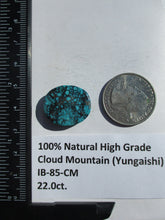 Load image into Gallery viewer, 22.0 ct. (21x18x6 mm) 100% Natural High Grade Web Cloud Mountain (Hubei) Turquoise Cabochon Gemstone, # IB 85