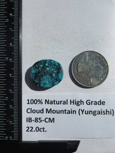 22.0 ct. (21x18x6 mm) 100% Natural High Grade Web Cloud Mountain (Hubei) Turquoise Cabochon Gemstone, # IB 85