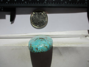 58.8 ct (44x24.5x7 mm) Stabilized Web #8 Turquoise, Cabochon Gemstone, # IF 76