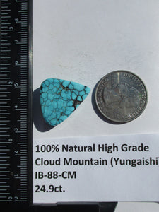 24.9 ct. (24x19x7 mm) 100% Natural High Grade Web Cloud Mountain (Hubei) Turquoise Cabochon Gemstone, # IB 88