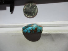 Load image into Gallery viewer, 62.2 ct. (29x27x9 mm) Pressed/Stabilized Kingman Spiny Oyster Turquoise Cabochon, Gemstone, 1EG 74