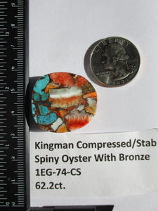 62.2 ct. (29x27x9 mm) Pressed/Stabilized Kingman Spiny Oyster Turquoise Cabochon, Gemstone, 1EG 74