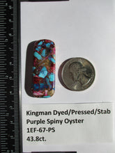 Load image into Gallery viewer, 43.8 ct. (41.5x17x5.5 mm) Pressed/Dyed/Stabilized Kingman Purple Spiny Oyster Turquoise Cabochon, Gemstone, # 1EF 67