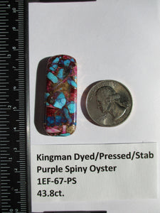 43.8 ct. (41.5x17x5.5 mm) Pressed/Dyed/Stabilized Kingman Purple Spiny Oyster Turquoise Cabochon, Gemstone, # 1EF 67