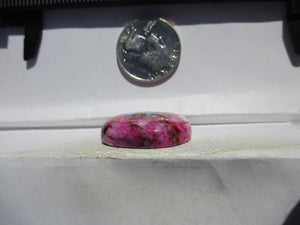 44.1 ct. (29x21x8 mm) Pressed/Dyed/Stabilized Kingman Purple Spiny Oyster Turquoise Cabochon, Gemstone, 1EF 83