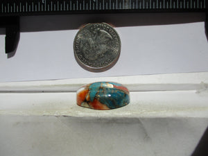 37.4 ct. (24x21.5x8.5 mm) Pressed/Stabilized Kingman Spiny Oyster Turquoise Cabochon, Gemstone, 1EG 84