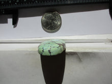 Load image into Gallery viewer, 59.3 ct. (43x23x7 mm) 100% Natural Web Blue Moon Turquoise Cabochon Gemstone # GL 059
