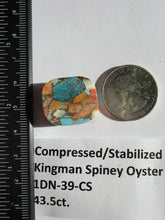 Load image into Gallery viewer, 43.5 ct. (22x19x10 mm) Pressed/Stabilized Kingman Spiny Oyster Turquoise Cabochon, Gemstone, # 1DN 39