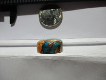 Load image into Gallery viewer, 43.5 ct. (22x19x10 mm) Pressed/Stabilized Kingman Spiny Oyster Turquoise Cabochon, Gemstone, # 1DN 39