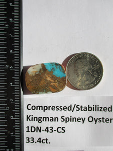 33.4 ct. (25x18.5x7 mm) Pressed/Stabilized Kingman Spiny Oyster Turquoise Cabochon, Gemstone, # 1DN 43
