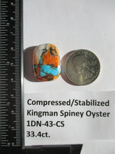 Load image into Gallery viewer, 33.4 ct. (25x18.5x7 mm) Pressed/Stabilized Kingman Spiny Oyster Turquoise Cabochon, Gemstone, # 1DN 43