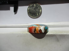 Load image into Gallery viewer, 62.2 ct. (29x27x9 mm) Pressed/Stabilized Kingman Spiny Oyster Turquoise Cabochon, Gemstone, 1EG 74