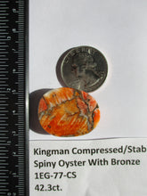 Load image into Gallery viewer, 42.3 ct. (30x23.5x7 mm) Pressed/Stabilized Kingman Spiny Oyster Turquoise Cabochon, Gemstone, 1EG 77