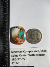 Load image into Gallery viewer, 42.3 ct. (30x23.5x7 mm) Pressed/Stabilized Kingman Spiny Oyster Turquoise Cabochon, Gemstone, 1EG 77