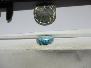 13.0 ct. (19x17x5 mm) Natural High Grade Kingman Black Web Turquoise Cabochon Gemstone, # IG 60