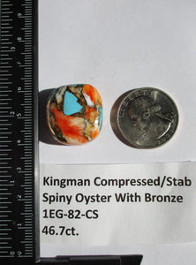 46.7 ct. (23.5x22x9.5 mm) Pressed/Stabilized Kingman Spiny Oyster Turquoise Cabochon, Gemstone, 1EG 82