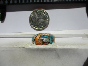 37.4 ct. (24x21.5x8.5 mm) Pressed/Stabilized Kingman Spiny Oyster Turquoise Cabochon, Gemstone, 1EG 84