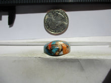 Load image into Gallery viewer, 37.4 ct. (24x21.5x8.5 mm) Pressed/Stabilized Kingman Spiny Oyster Turquoise Cabochon, Gemstone, 1EG 84