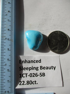22.8 ct. (22x17x8 mm) Enhanced Sleeping Beauty Turquoise Cabochon Gemstone, # 1CT 026 s