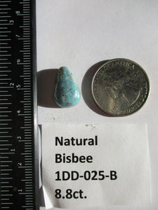 8.8 ct. (17x11.5x6.5 mm) Natural Bisbee Turquoise Cabochon Gemstone, 1DD 025